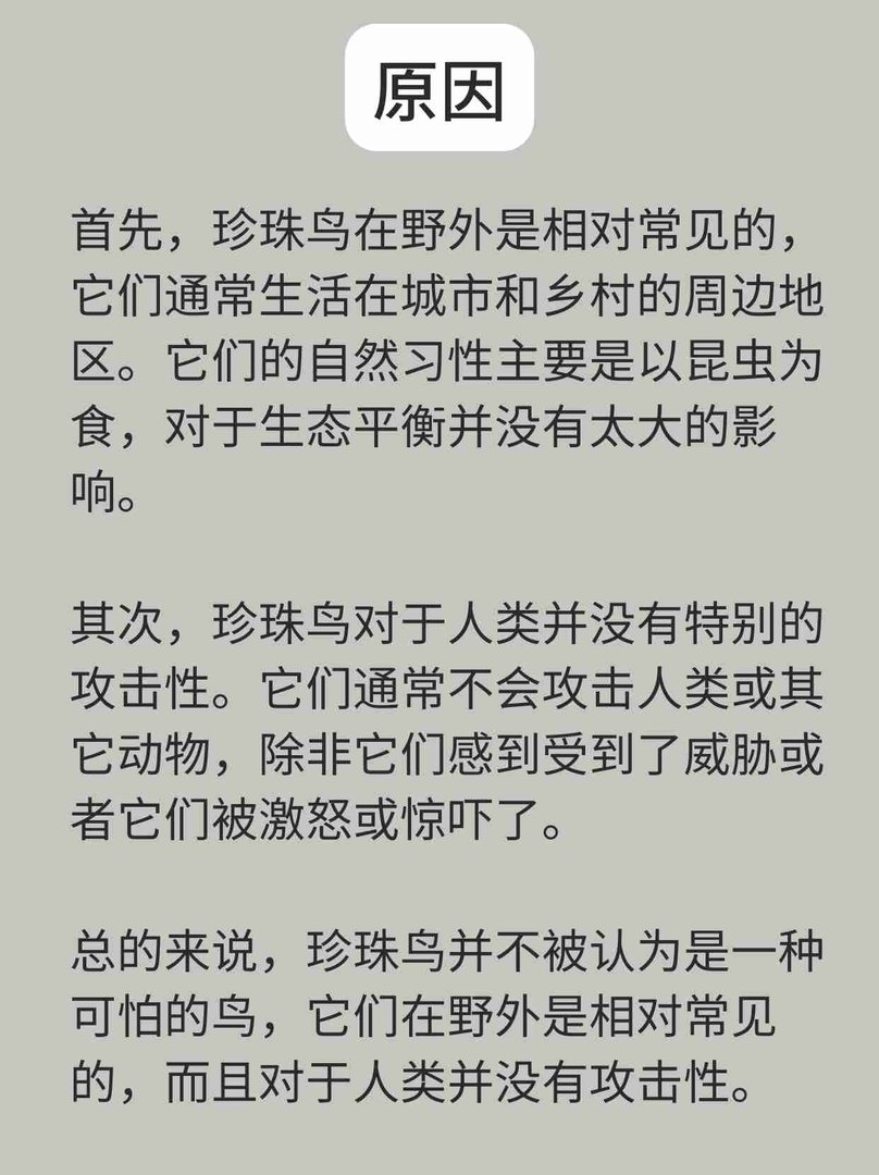珍珠鸟是一种可怕的鸟吗？