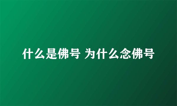 什么是佛号 为什么念佛号