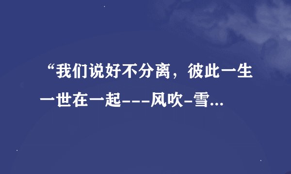 “我们说好不分离，彼此一生一世在一起---风吹-雪花，吹白了我们的头发--彼此说过不分离“歌词