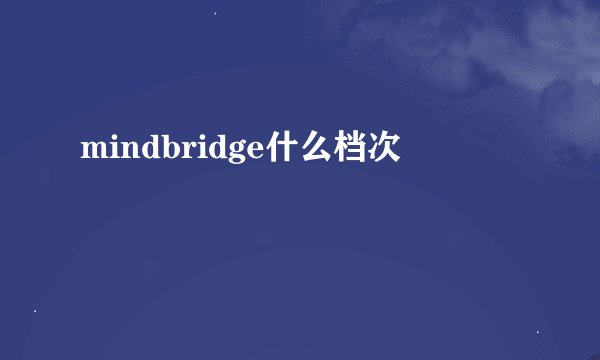mindbridge什么档次