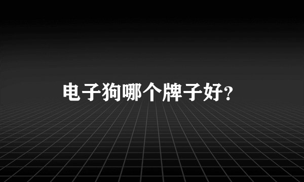 电子狗哪个牌子好？