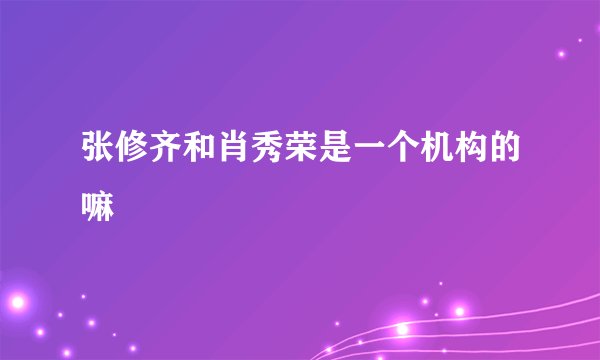 张修齐和肖秀荣是一个机构的嘛