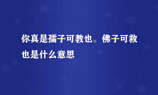 你真是孺子可教也。佛子可救也是什么意思
