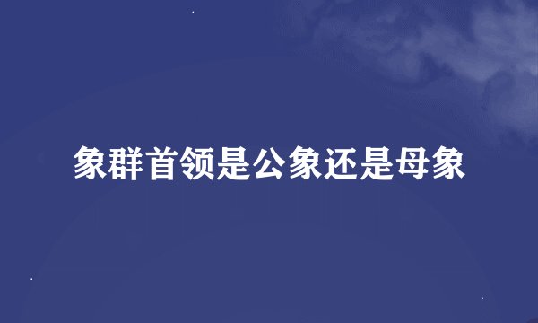 象群首领是公象还是母象