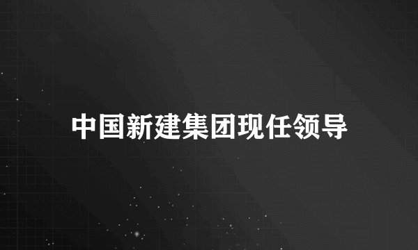 中国新建集团现任领导