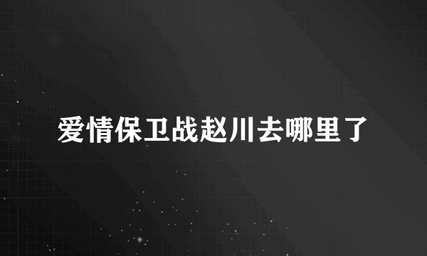 爱情保卫战赵川去哪里了