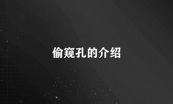 偷窥孔的介绍