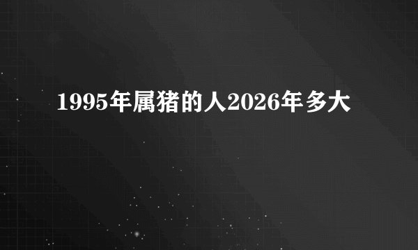 1995年属猪的人2026年多大