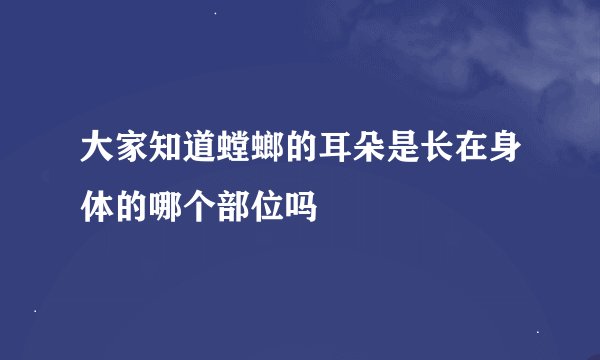 大家知道螳螂的耳朵是长在身体的哪个部位吗