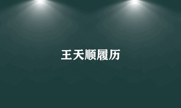 王天顺履历