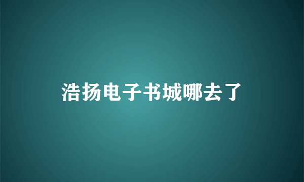 浩扬电子书城哪去了