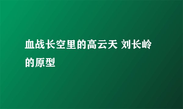 血战长空里的高云天 刘长岭的原型