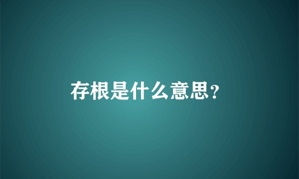 存根是什么意思？