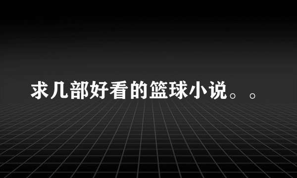 求几部好看的篮球小说。。