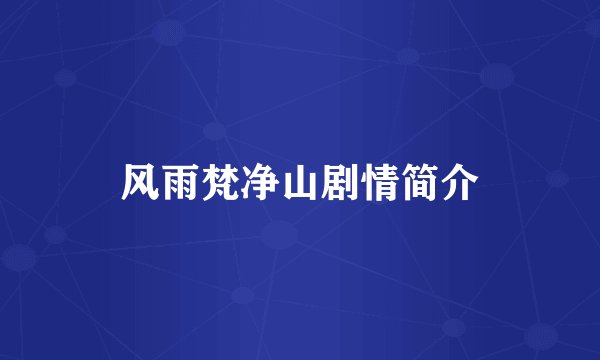 风雨梵净山剧情简介