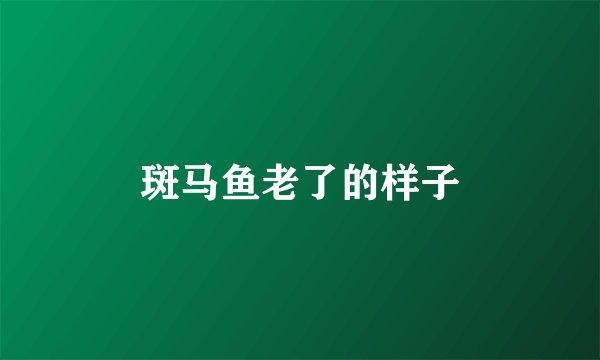 斑马鱼老了的样子