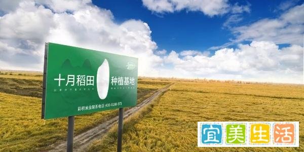 瑞幸申请注册“YYDS歪歪滴艾斯”商标，脆脆猫获得近千万元天使轮融资 | FoodTalks早报