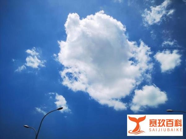 1.28亿!巴菲特午餐最后一届拍卖落锤,下一个“股神”还未出现