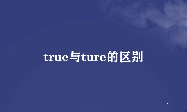 true与ture的区别