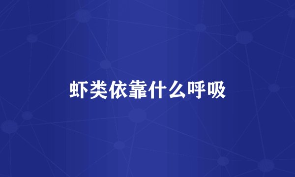 虾类依靠什么呼吸