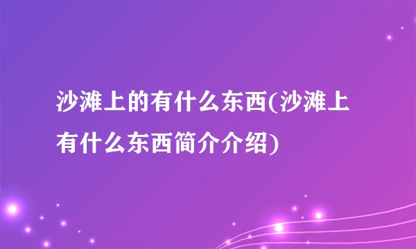 沙滩上的有什么东西(沙滩上有什么东西简介介绍)