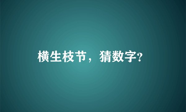 横生枝节，猜数字？