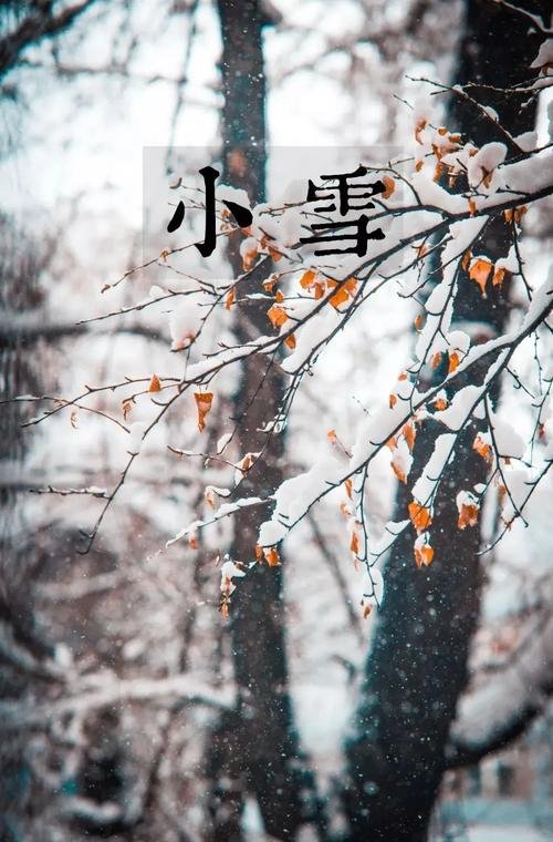 莫尔道嘎国家森林公园天气预报，莫尔道嘎国家森林公园天气预报一周