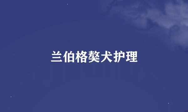 兰伯格獒犬护理