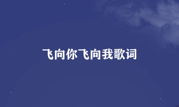 飞向你飞向我歌词