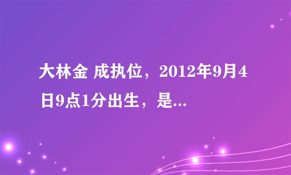 大林金 成执位，2012年9月4日9点1分出生，是什么命，阳历时间这个是