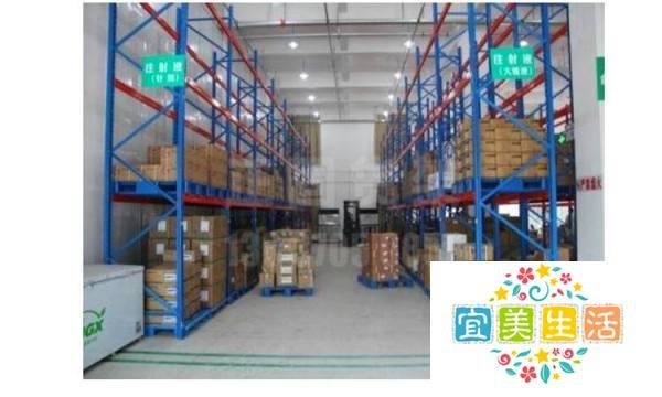 gsp是什么意思