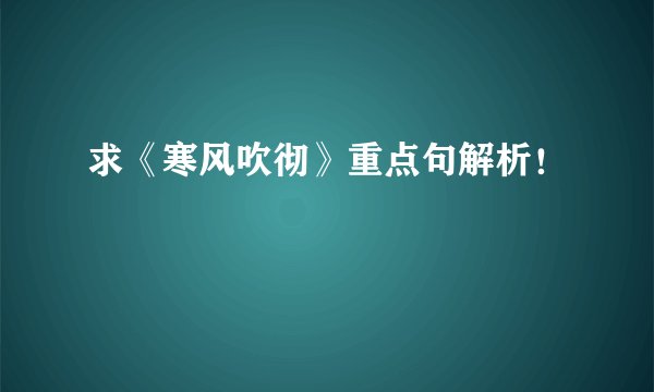 求《寒风吹彻》重点句解析！