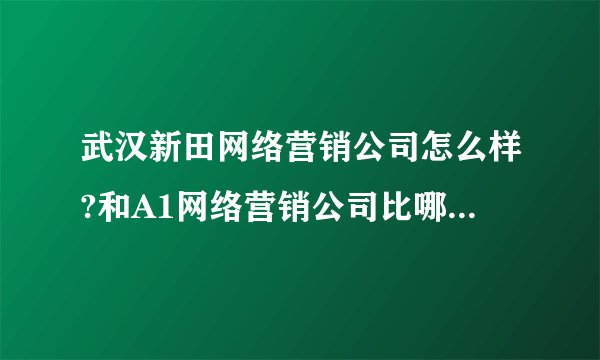 武汉新田网络营销公司怎么样?和A1网络营销公司比哪个更强？拜托了各位 谢谢