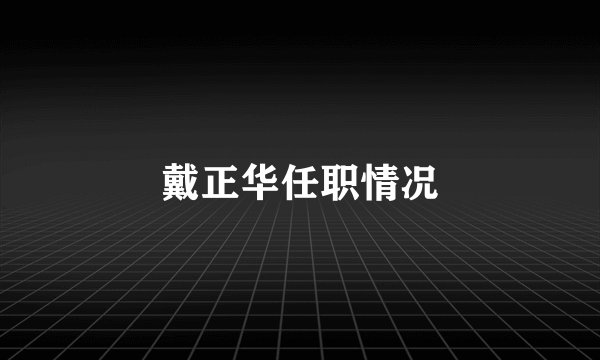 戴正华任职情况
