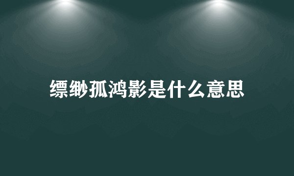 缥缈孤鸿影是什么意思