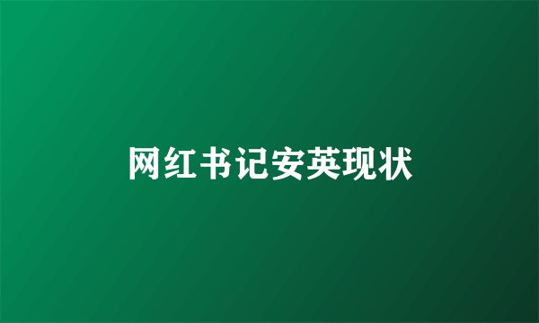 网红书记安英现状