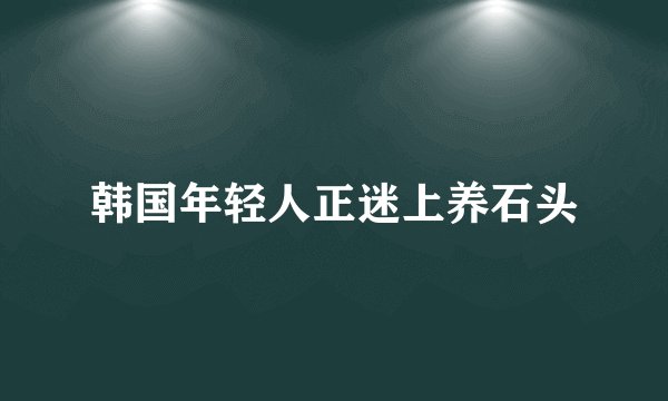 韩国年轻人正迷上养石头