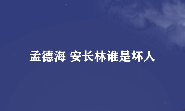 孟德海 安长林谁是坏人