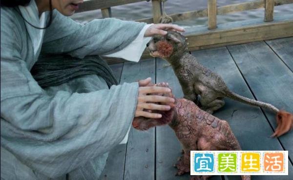 《雪中悍刀行》:两只虎夔被徐凤年收养,可是后来纷纷送人