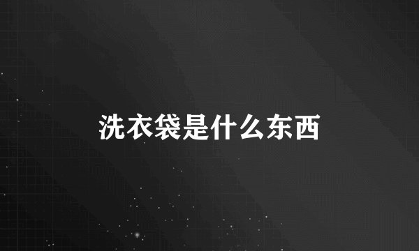 洗衣袋是什么东西