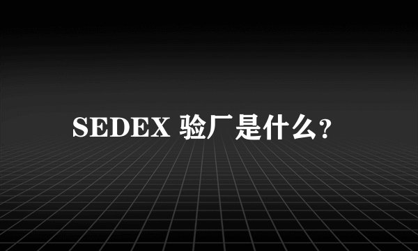 SEDEX 验厂是什么？