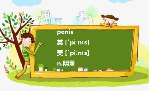 penis和dick的区别是什么？