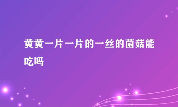 黄黄一片一片的一丝的菌菇能吃吗