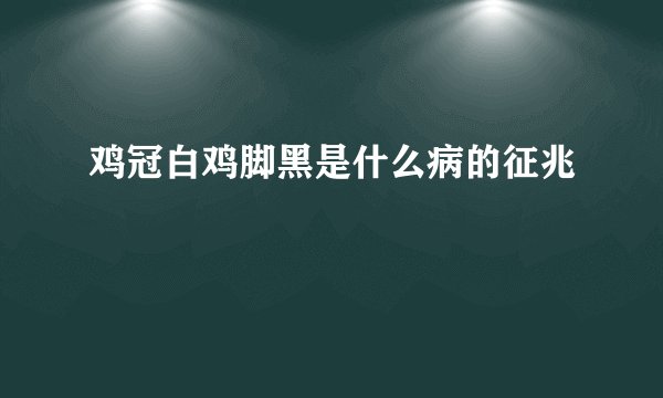 鸡冠白鸡脚黑是什么病的征兆