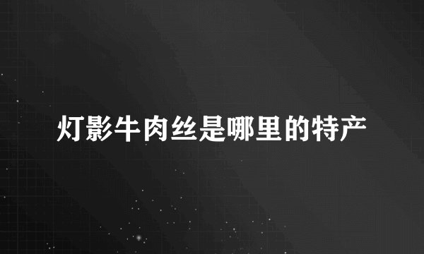 灯影牛肉丝是哪里的特产