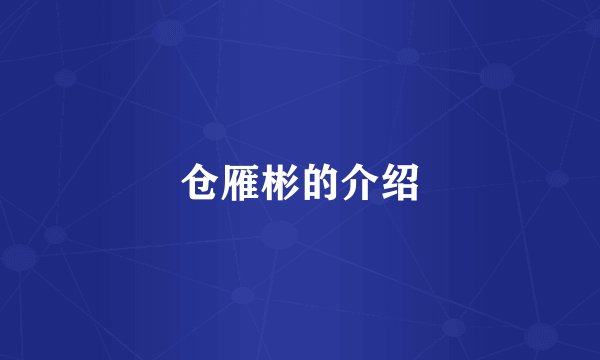 仓雁彬的介绍