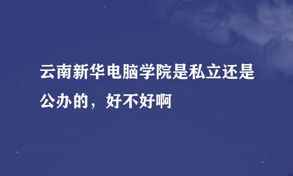 云南新华电脑学院是私立还是公办的，好不好啊