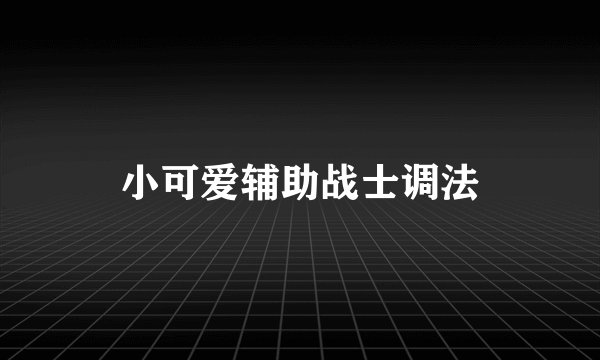 小可爱辅助战士调法