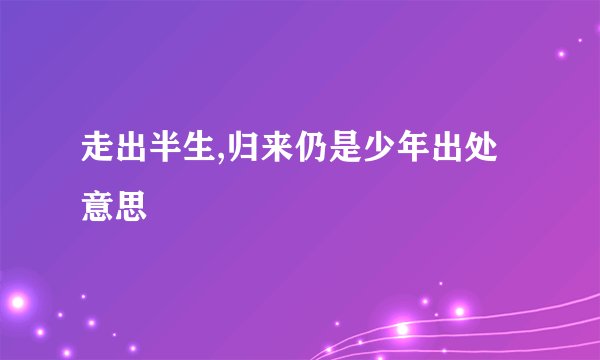 走出半生,归来仍是少年出处意思