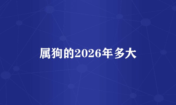 属狗的2026年多大